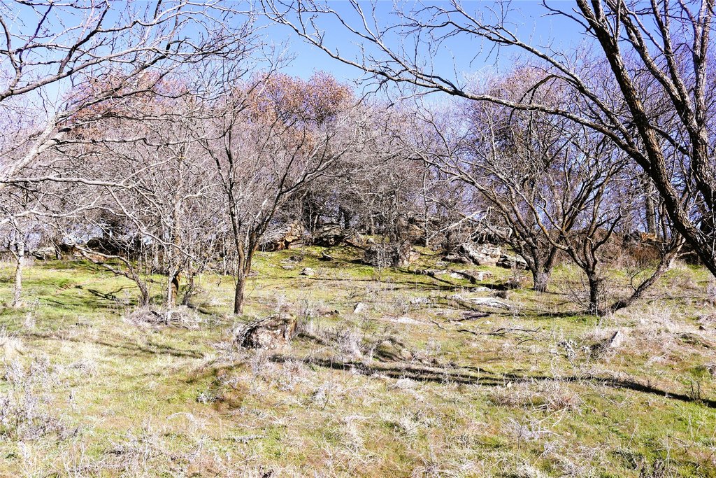 Picture 19