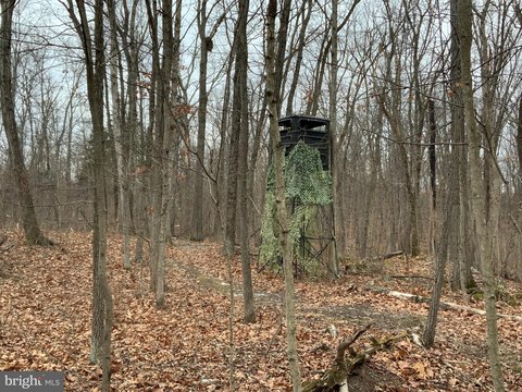 Unrestricted Wooded Lot For Sale