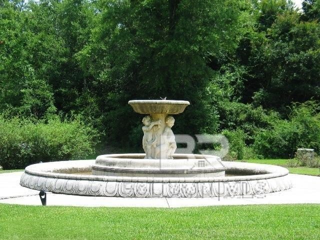 Picture 5