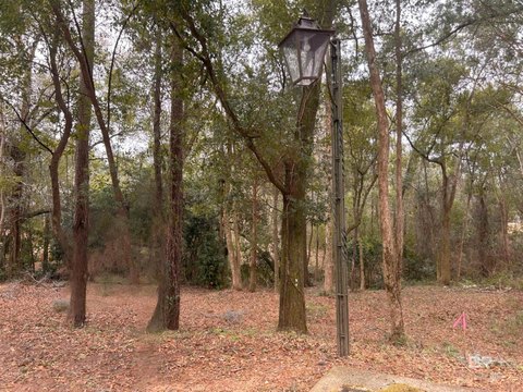 LAND - Fairhope, AL