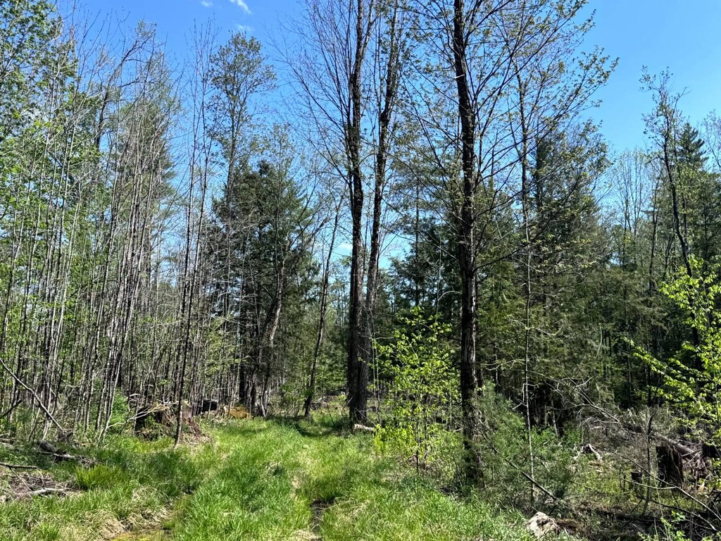 Picture 15