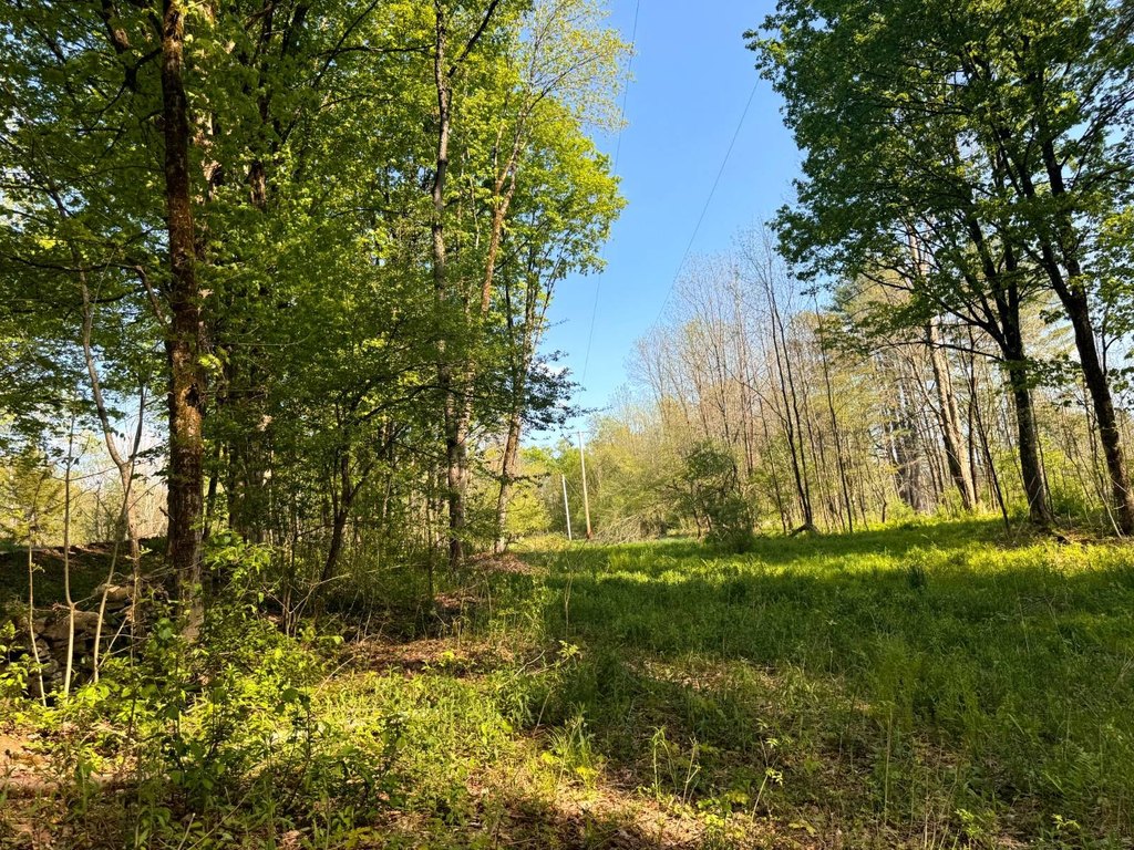 Picture 19