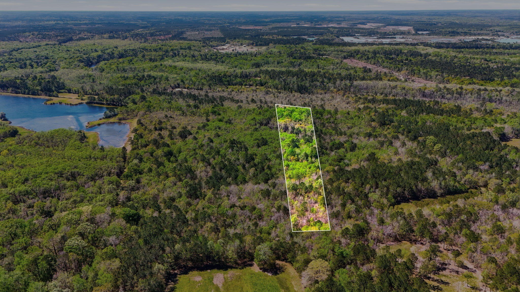 9.01 Acres in Ridgeville, SC