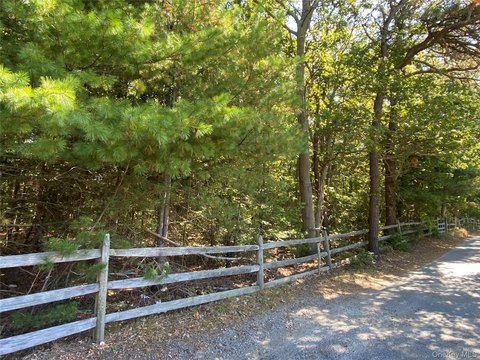 Residential Wooded Lot in Patchogue