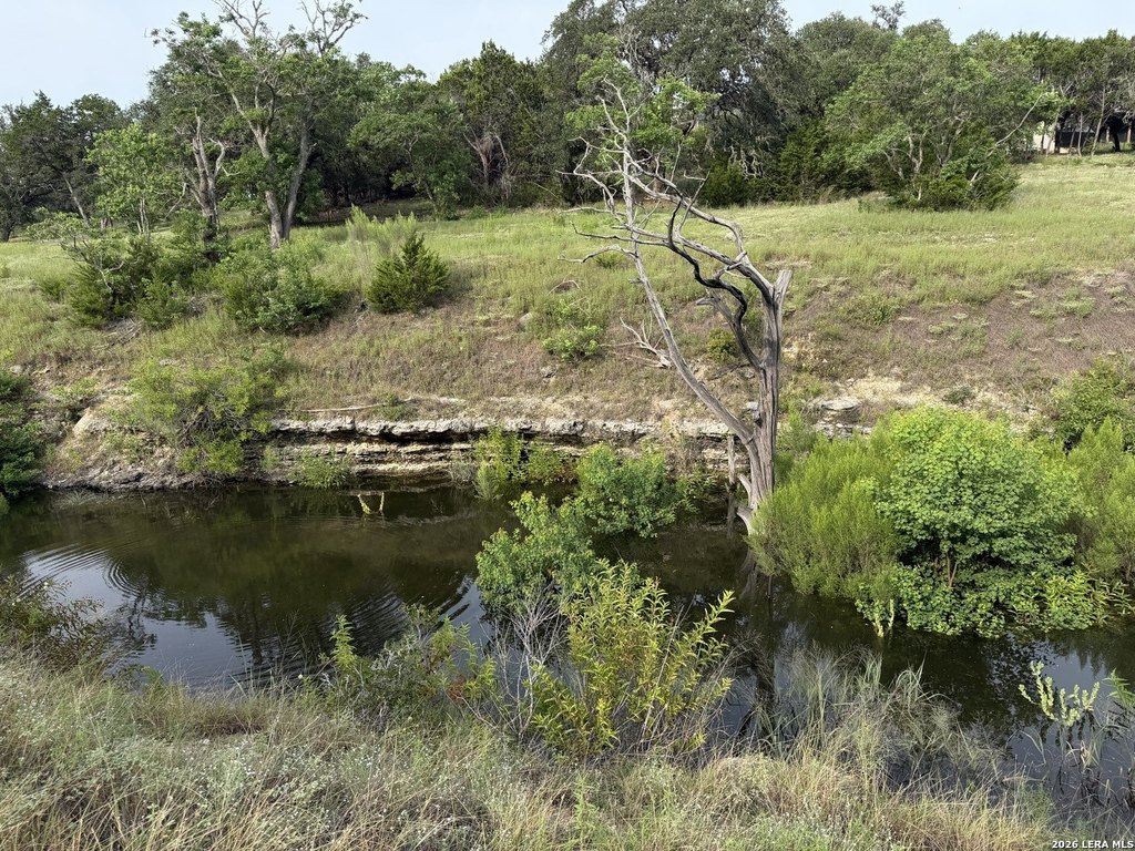 Picture 20