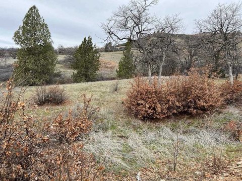 Land in Klamath River Country
