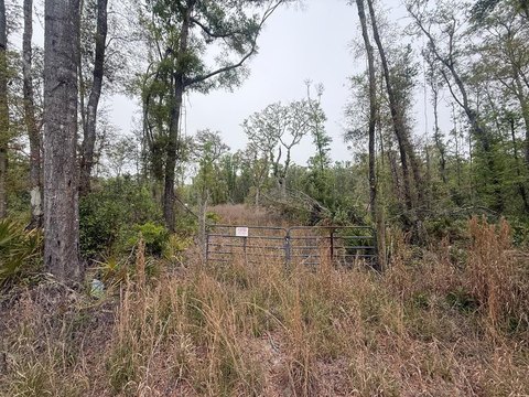 Lots & Acreage - Old Town, FL