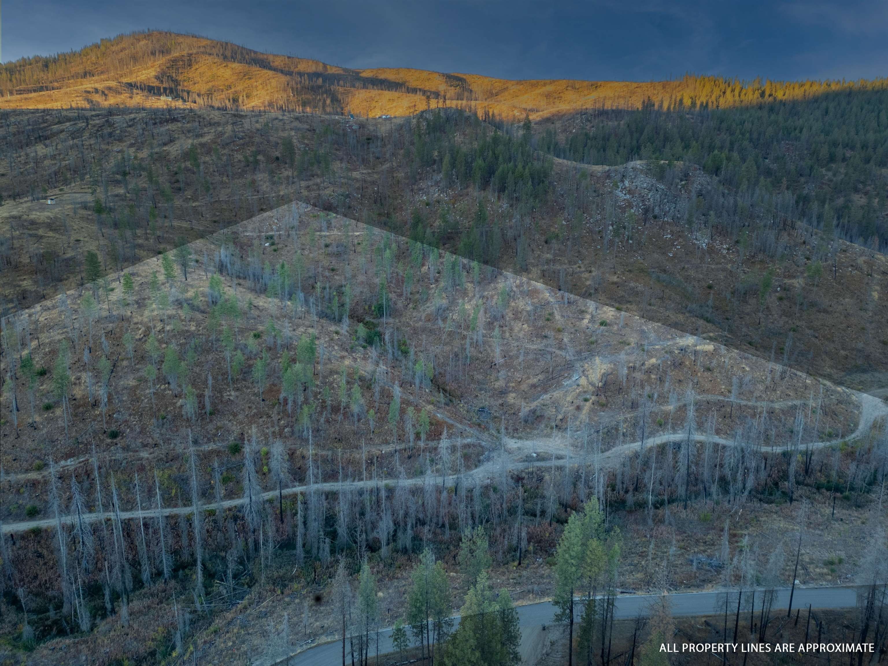 Springdale Land with Mountain Views