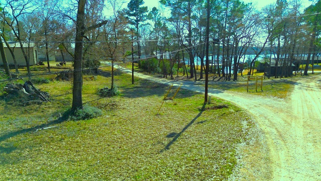 Picture 6