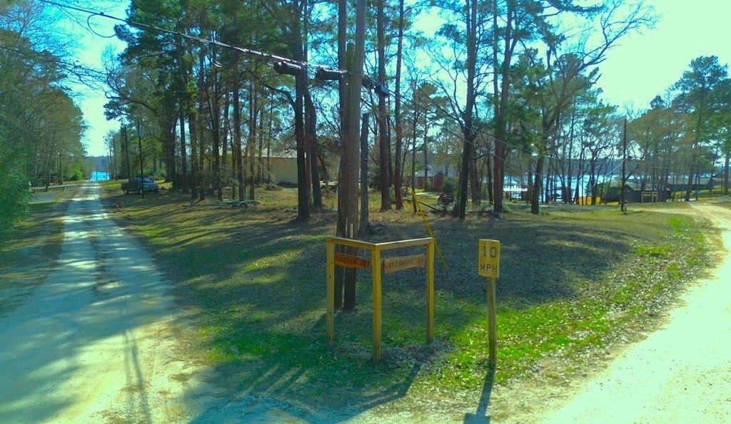 Picture 5