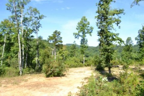 LAND - Celina, TN