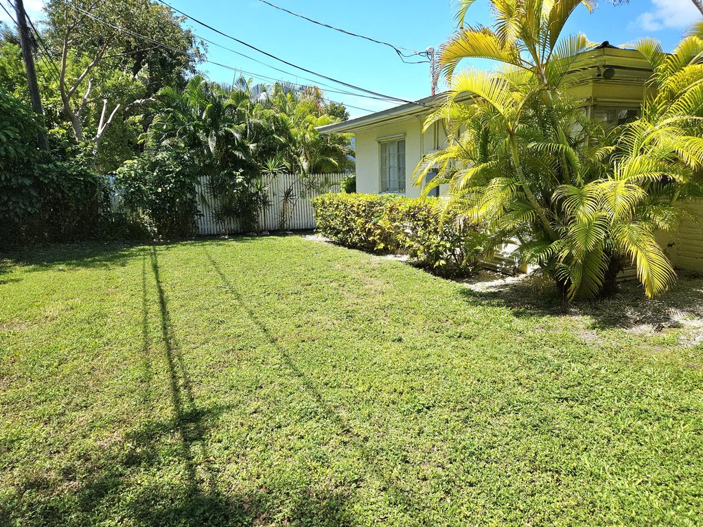 Picture 18