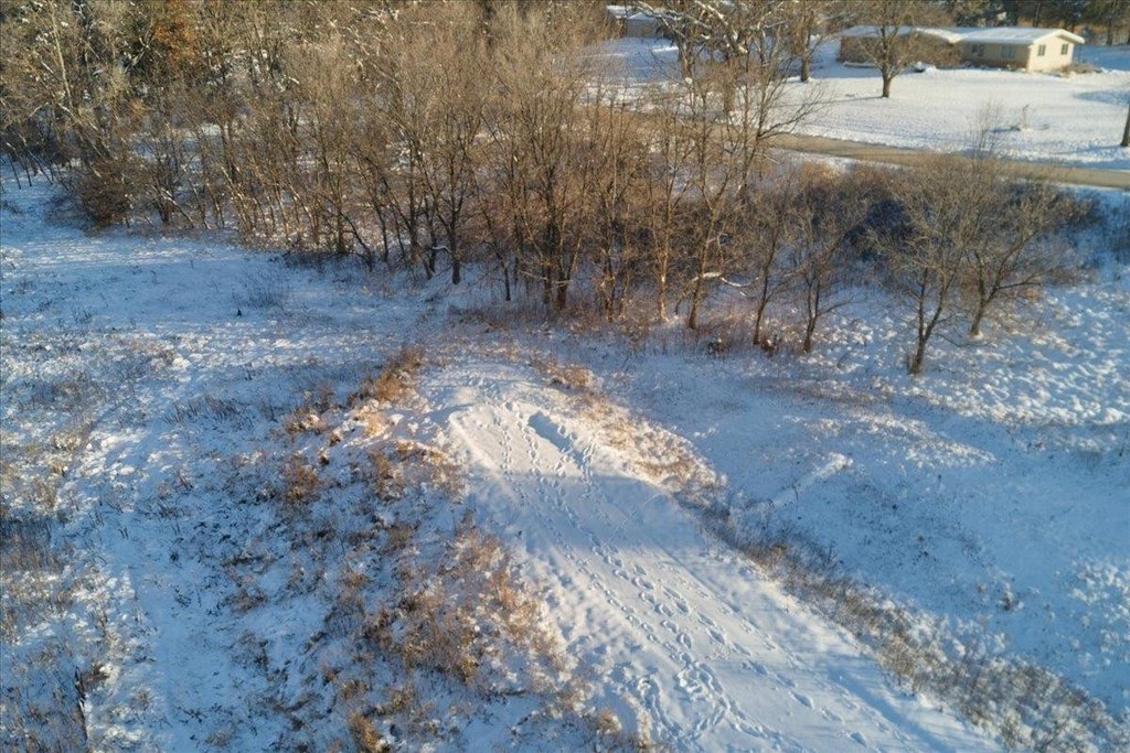 Picture 8