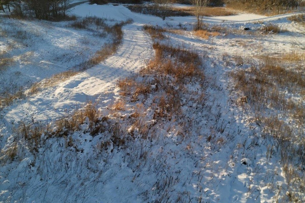 Picture 10