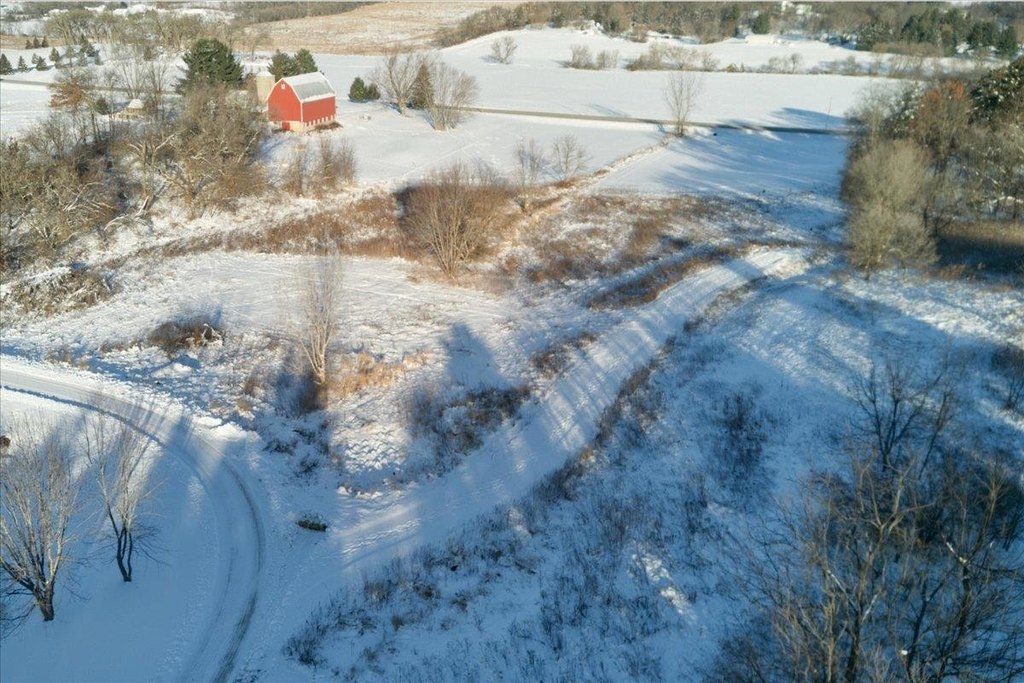 Picture 7