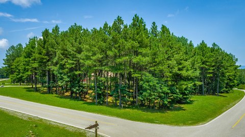LAND - Jasper, TN