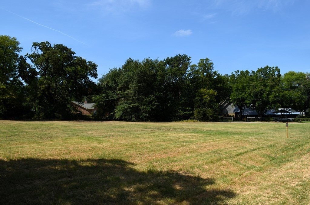 Picture 12