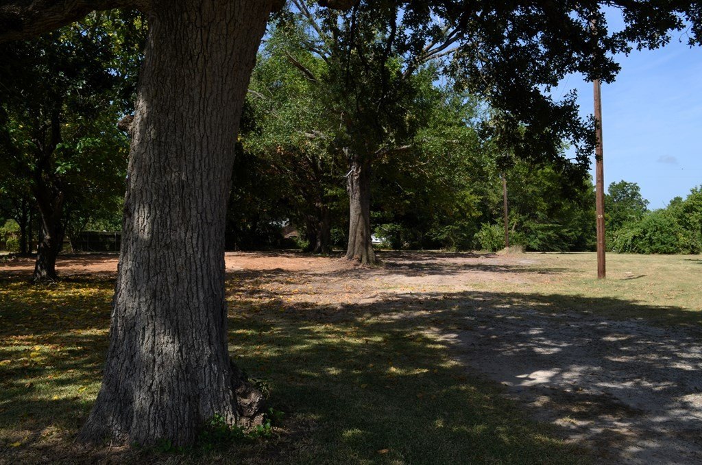 Picture 11