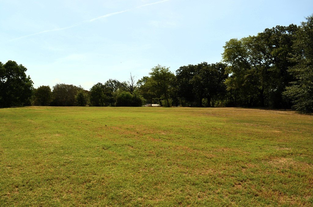 Picture 14