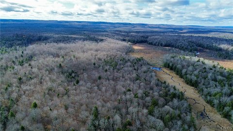 Wooded Recreational Land
