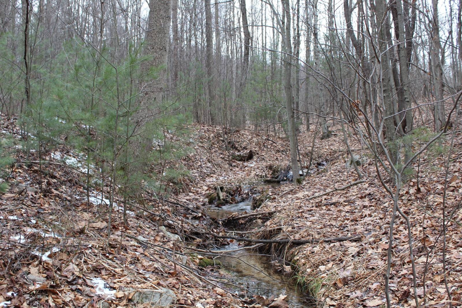 Secluded Land in Huntingdon County