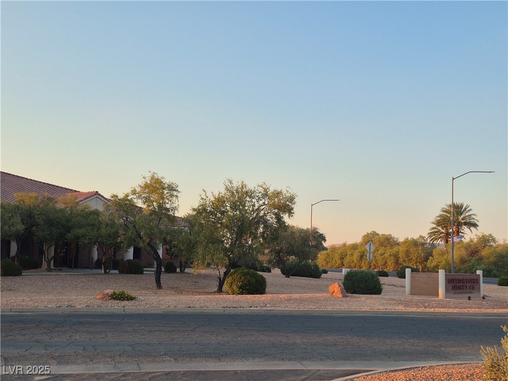 Picture 16