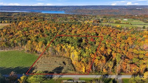 Land, Dundee, NY