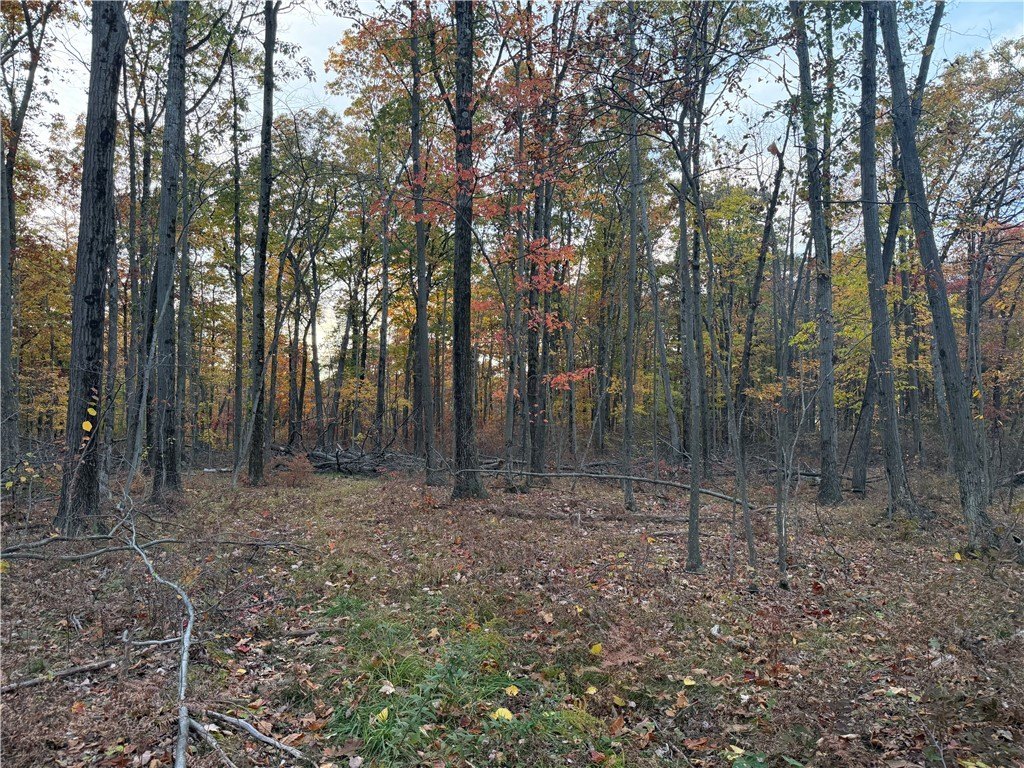Picture 14