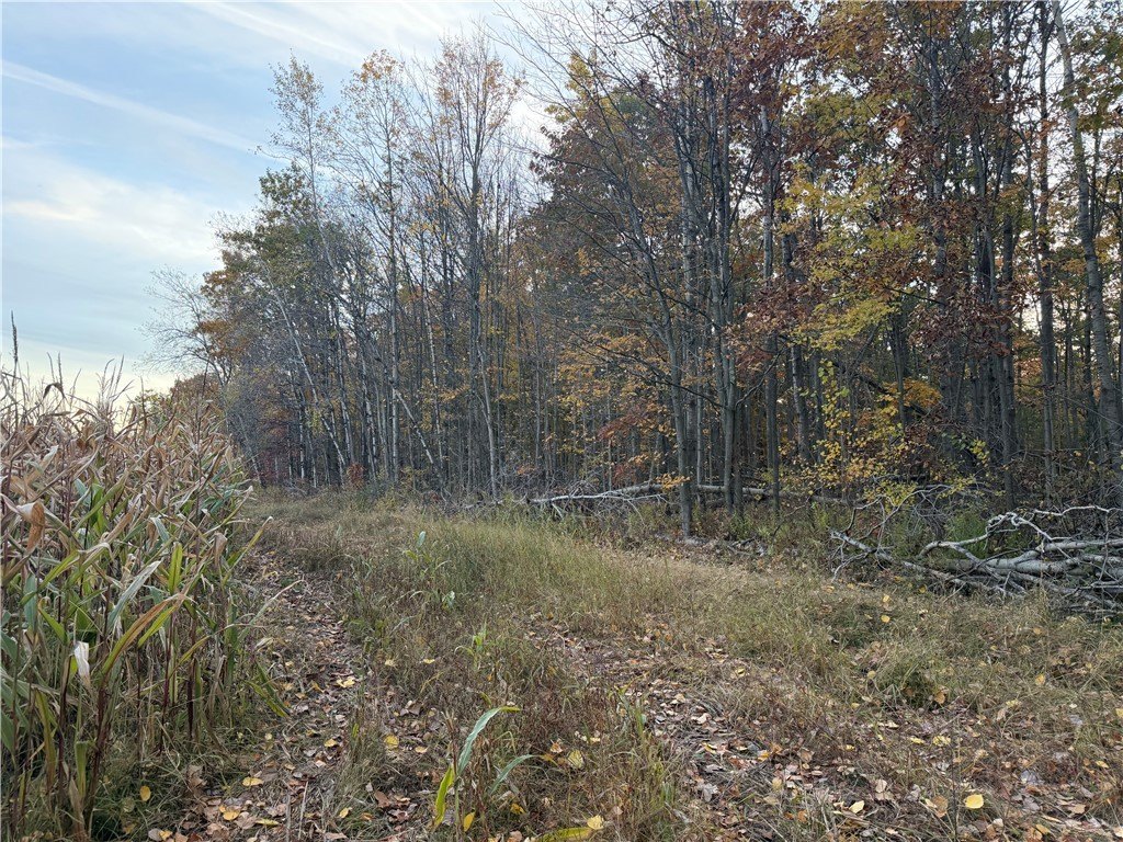 Picture 15