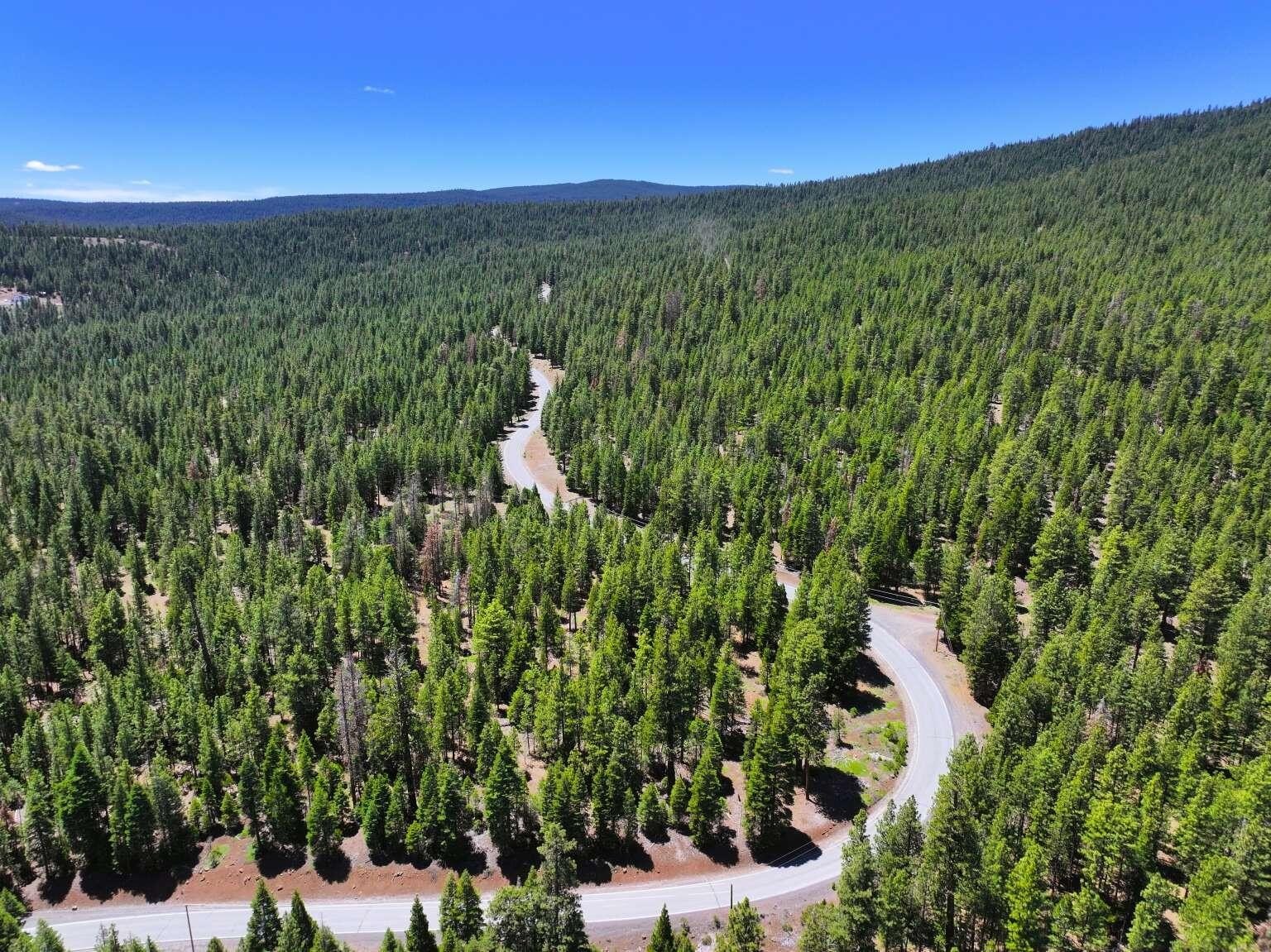 Land on California Pines Blvd