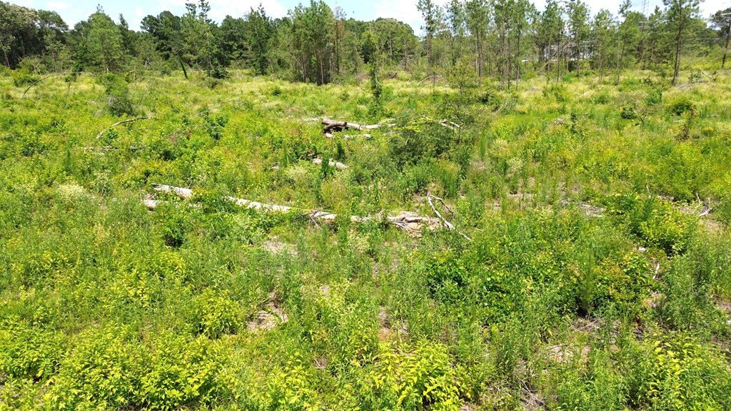 Picture 30