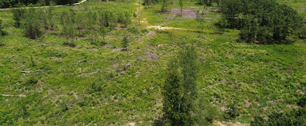 Picture 7