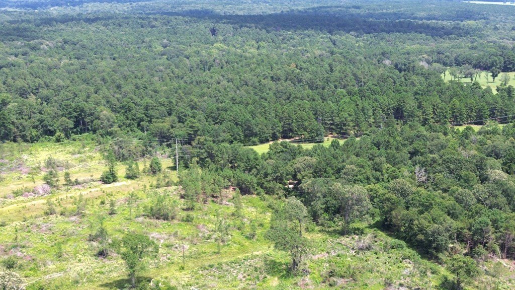 Picture 19