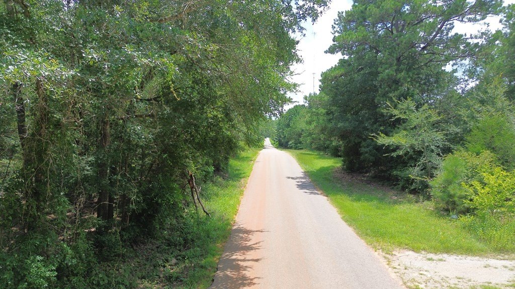 Picture 33
