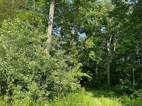 Secluded Land in Gated Community