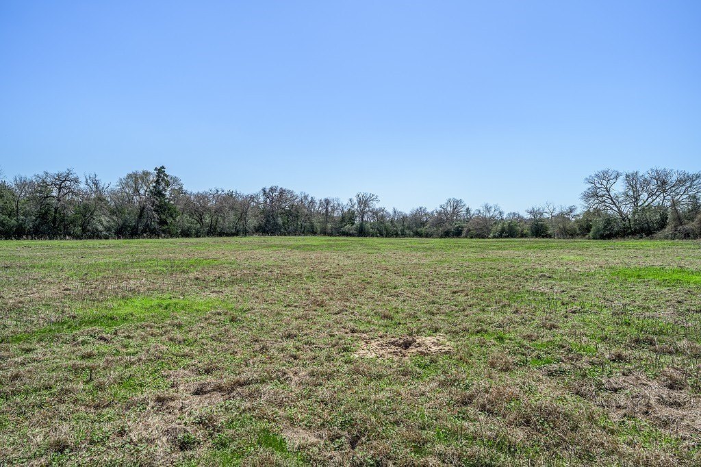 Picture 7