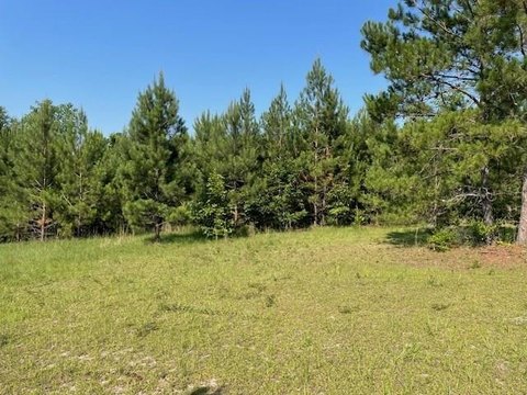 Elloree Land with Development Potential