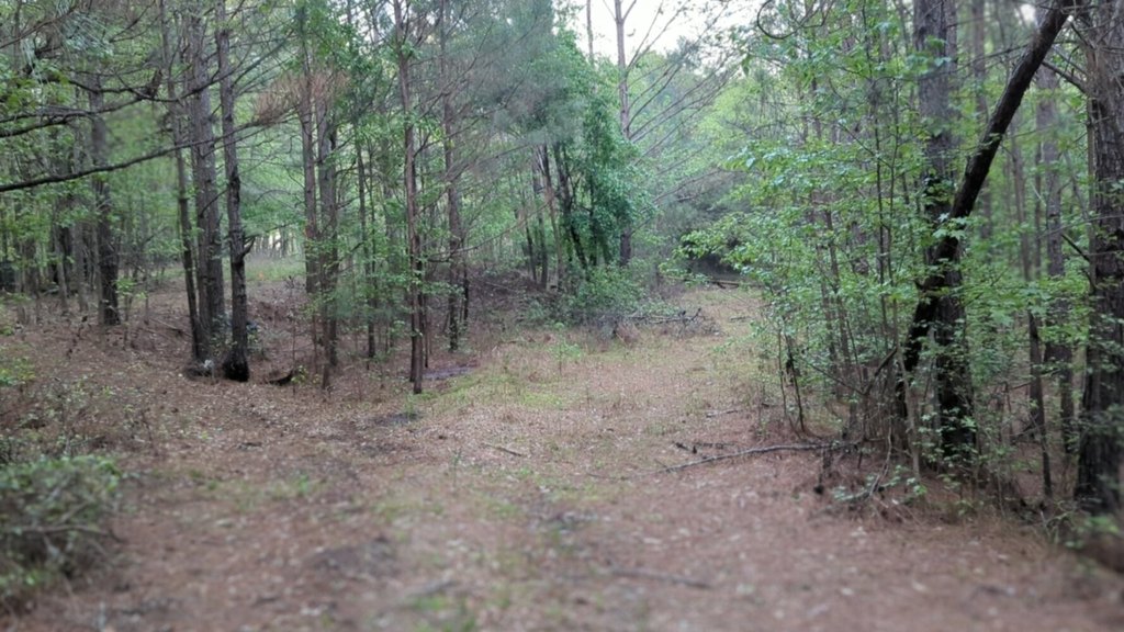 Picture 13