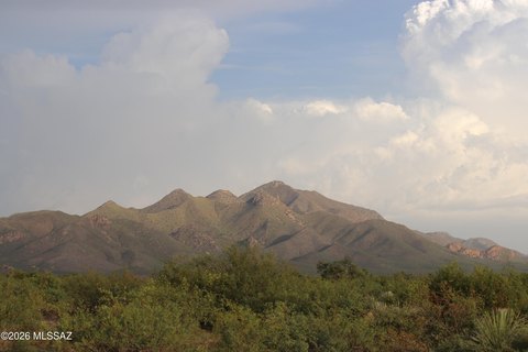 LAND - Elfrida, AZ