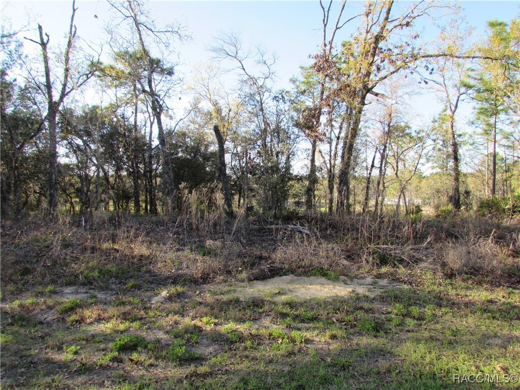 Homesite Opportunity in Citrus Springs