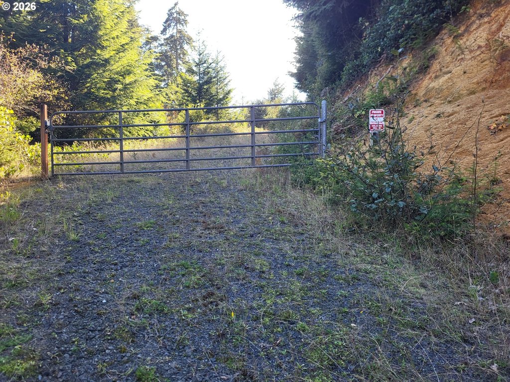 Picture 4