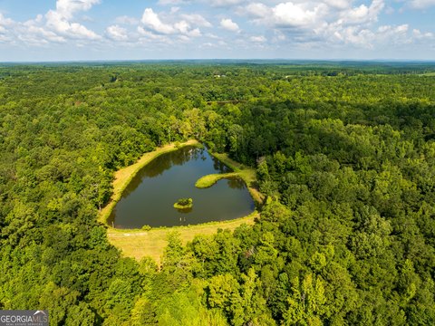 Versatile 110-Acre Parcel in Butler, GA