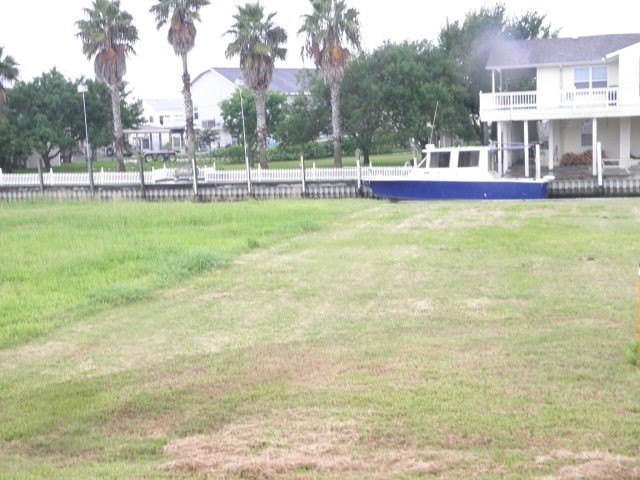 Picture 5