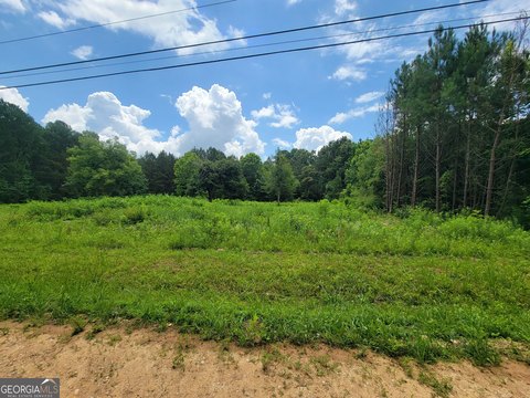 LAND - Lyerly, GA