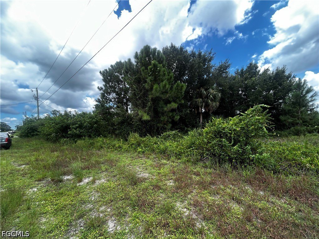 Picture 5