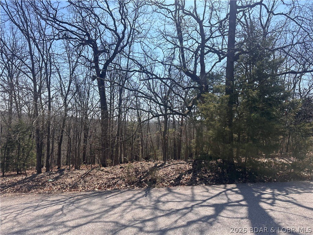 Residential Lot in Camelot Estates