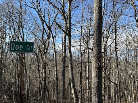 Wooded Lot in Deerhead Community