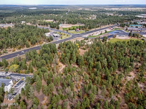 Prime Land in Show Low