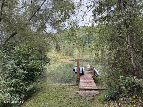 Lots & Acreage, Crossville, TN