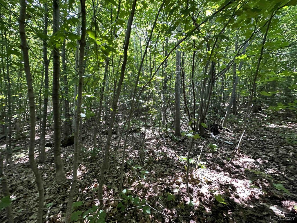 Picture 17